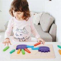 hand shape sorter