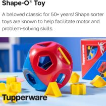 shape o toy 1