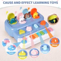 piaono popit toy 1